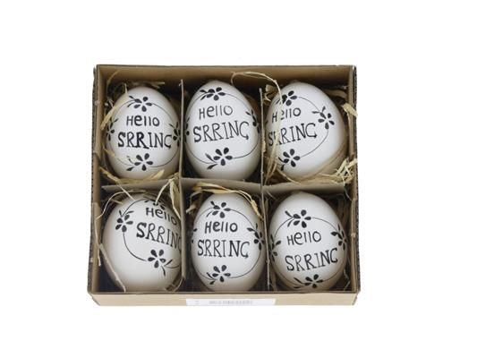 Egg Chicken Hello Spring Box/6