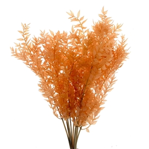 Pres Ruscus Soft Bleached Salmon Per Stem