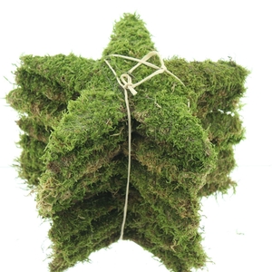 Pres Moss Star Green Medium