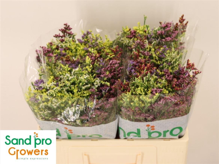 <h4>Gem Zomerboeket</h4>