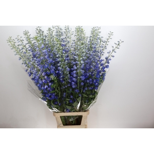 Delph Du Elatum Candle Blue