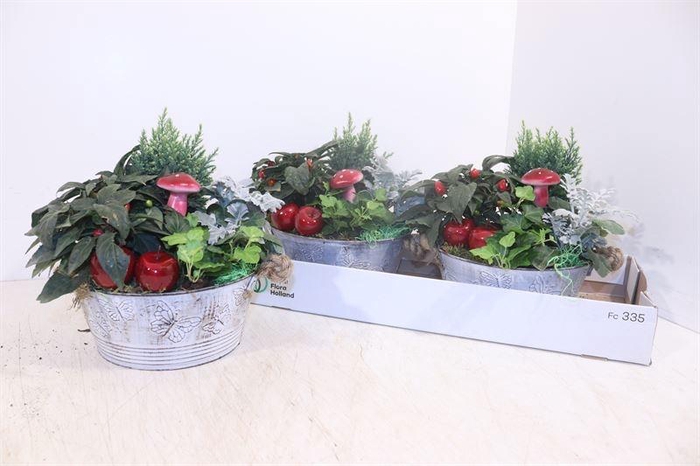 <h4>ARR TUINPLANTEN</h4>
