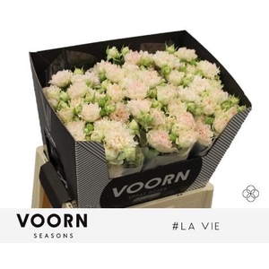 R Tr H La Vie Voorn Seasons