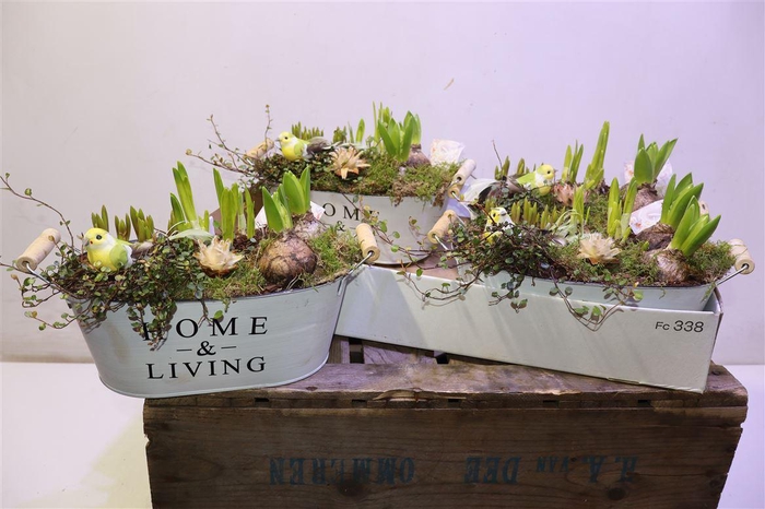 <h4>Arr Bol Knol In Zinken Hengsel Bak Ovaal</h4>