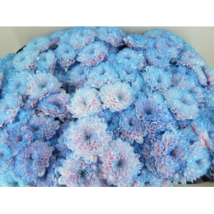 Chr T Altaj Bubbelgum
