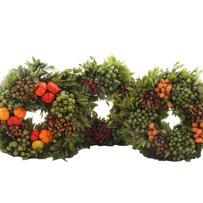 <h4>Krans Fruitmix</h4>