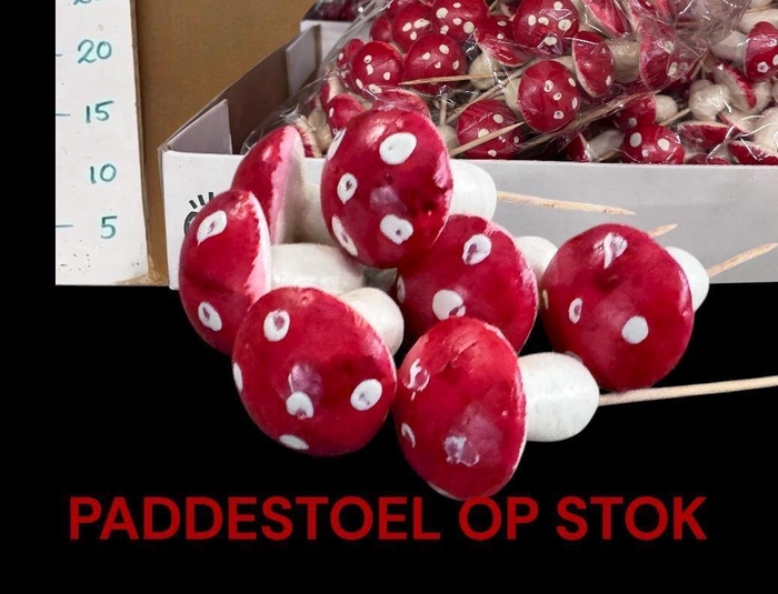 <h4>HUIS EN TUINDECO H%</h4>