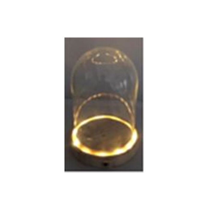 <h4>Lighting Glass Dome Led H14D12</h4>