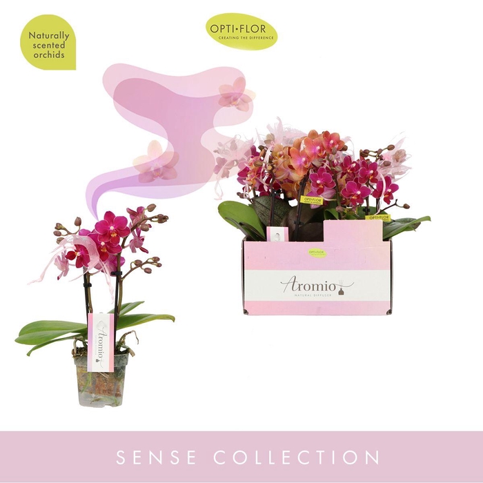 <h4>Aromio Mix 2 spike</h4>