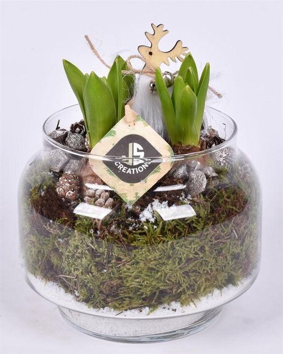 <h4>Glas op voet 18cm</h4>