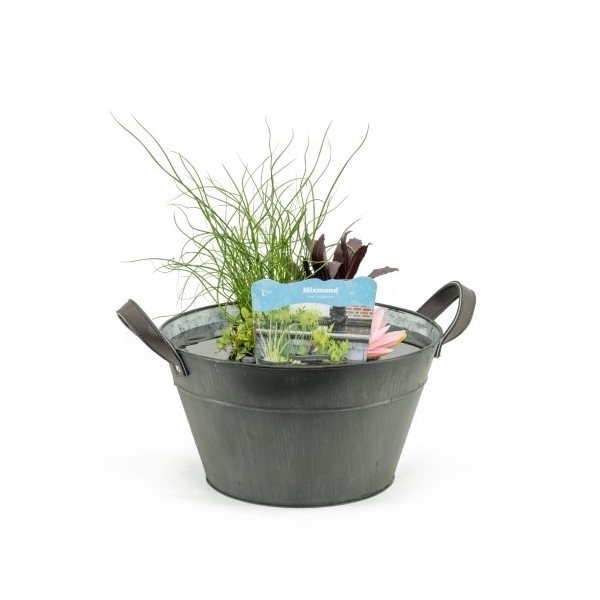 Terrasvijver zink old grey inc.mand