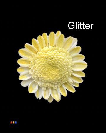 <h4>Chr T Stallion Dusty Creme + Glit Bio</h4>