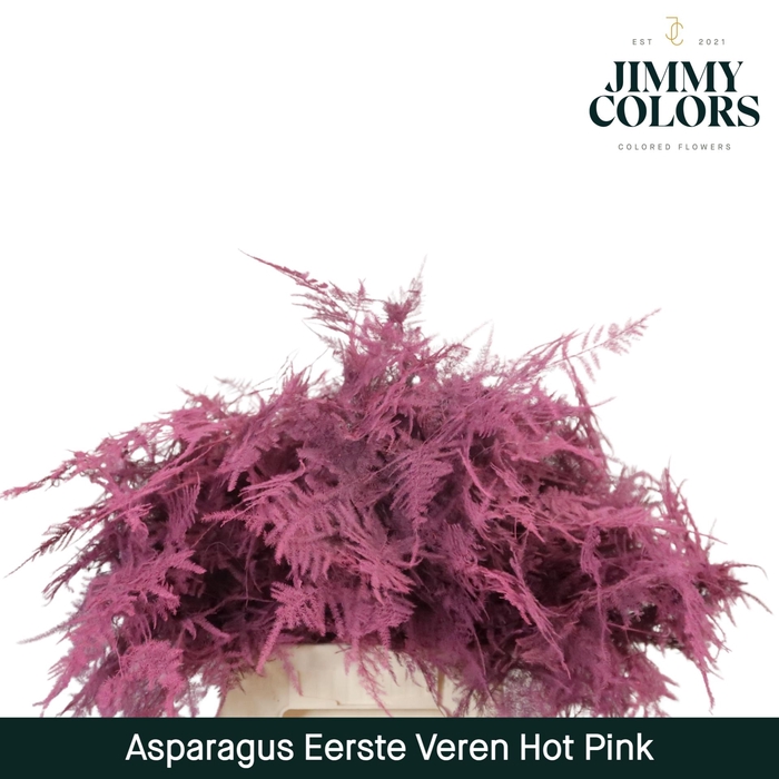 <h4>Aspa 1ste veren Hot pink</h4>