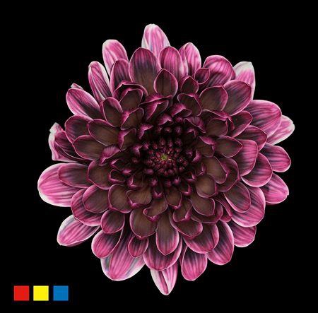 <h4>Chr T Altaj Gothic</h4>