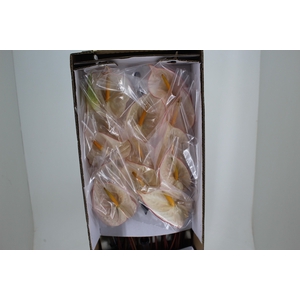 ANT CARNAVAL 11/13 040 CM DIAM MIN 11 CM BRANCO/VERMELHO