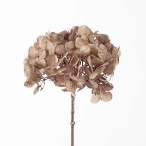 AF Hydran Metallic L70cm Beige