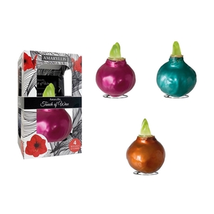 Amaryllis Touch of Wax Metallic Mix 6x1, rode bloem, Karton Giftbox, Tray236