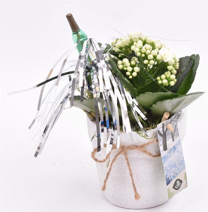 <h4>Cement pot wit met touw</h4>