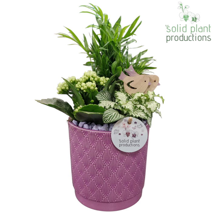 <h4>CH001 Amy Lila</h4>