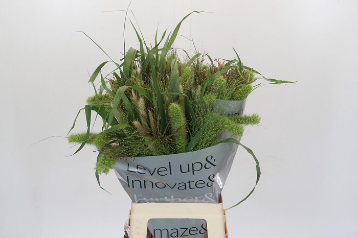 Grasses mix in bucket