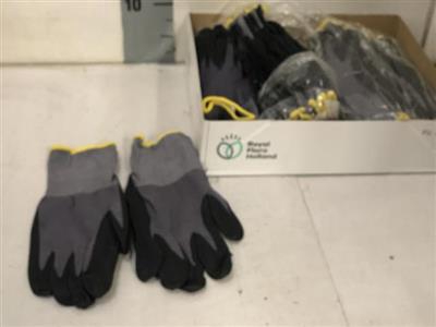 <h4>HANDSCHOENEN P.SET X</h4>