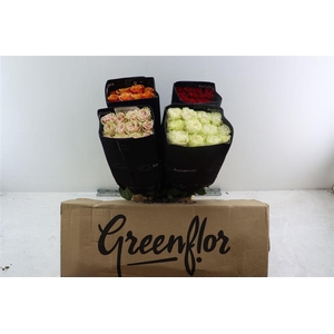 R Gr Mixbox Basic Needs