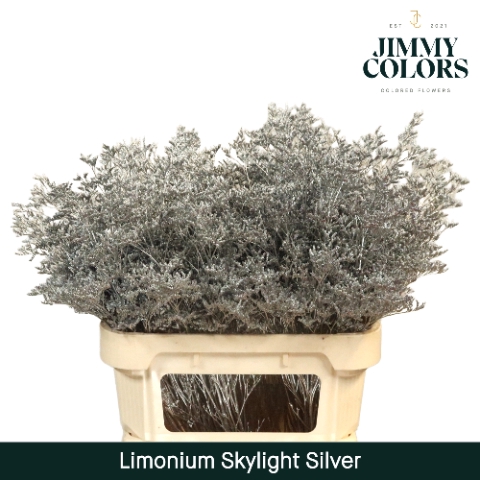 <h4>Limonium Skylight L70 Mtlc. Zilver</h4>