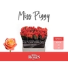 Rosa large miss piggy