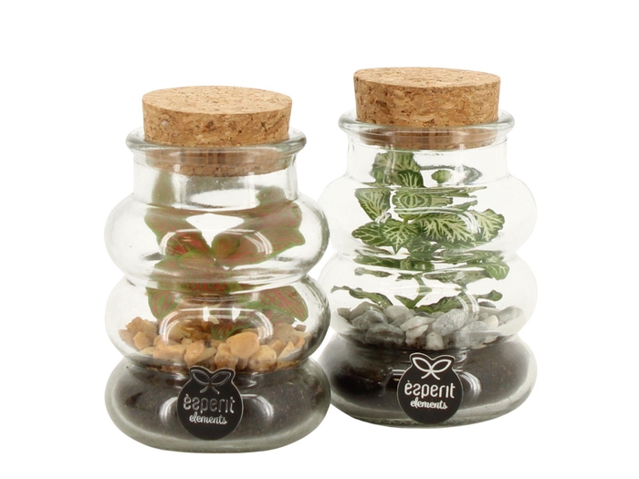 <h4>90707: Terrarium arrangement</h4>