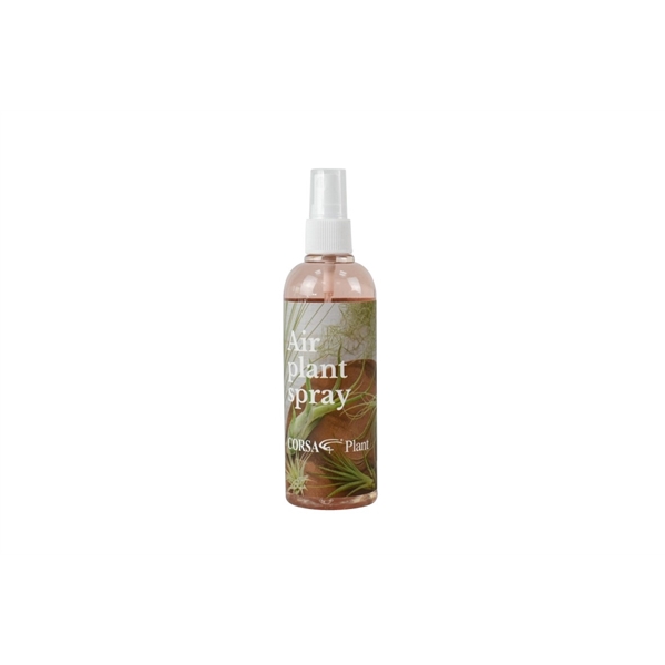 <h4>tillandsia spray</h4>