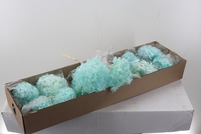 <h4>Hydr Preserved Indigo Premium</h4>