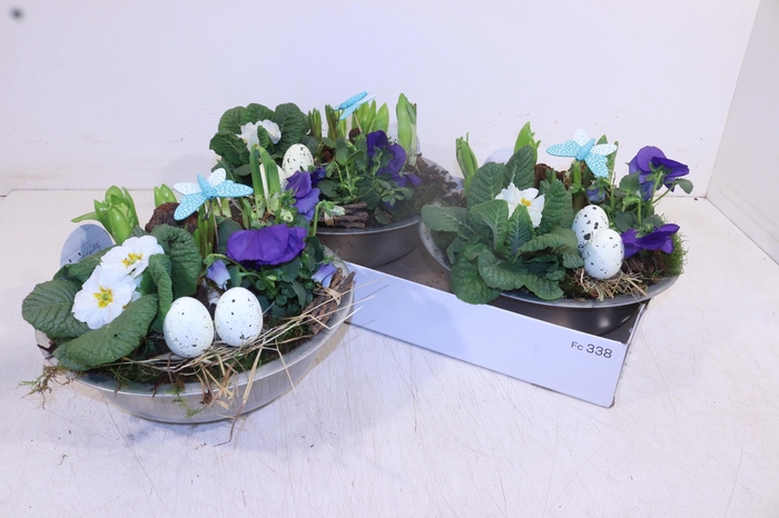 <h4>ARR TUINPLANTEN</h4>