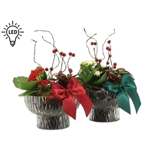 61801: X-mas arrangement