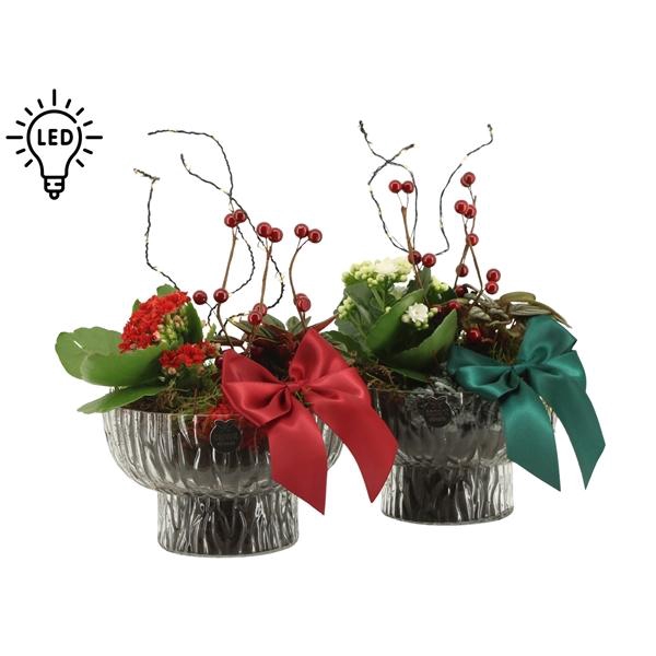 <h4>61801: X-mas arrangement</h4>