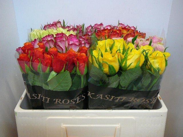 <h4>R Kl Gem In Fust</h4>