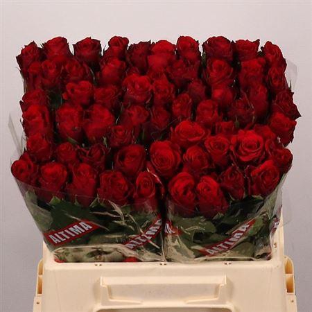 <h4>R Gr Upper Class</h4>