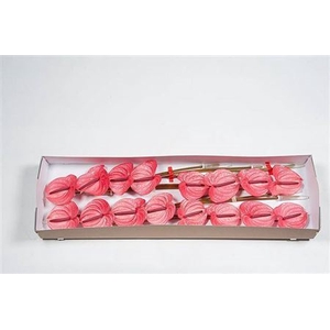 Anth Candy