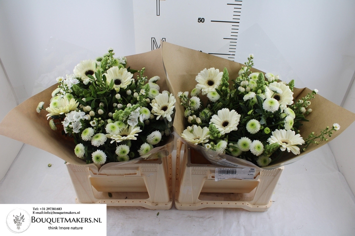 <h4>GEM BOEKET OV</h4>