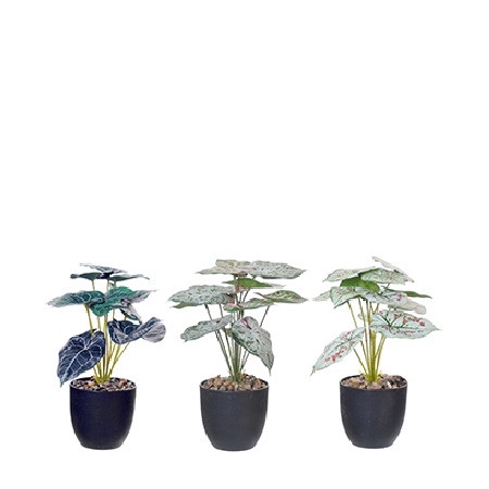 <h4>Kunstplanten Pot Caladium d11*28cm</h4>