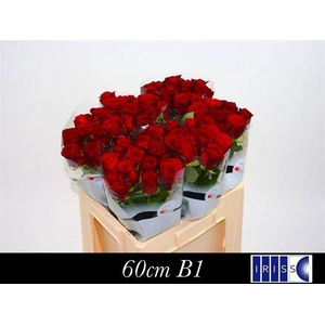 R GR RED NAOMI! 22222