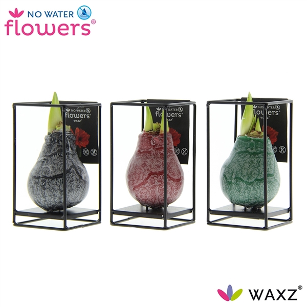 <h4>No Water Flowers Waxz® Formz Industrial mix</h4>