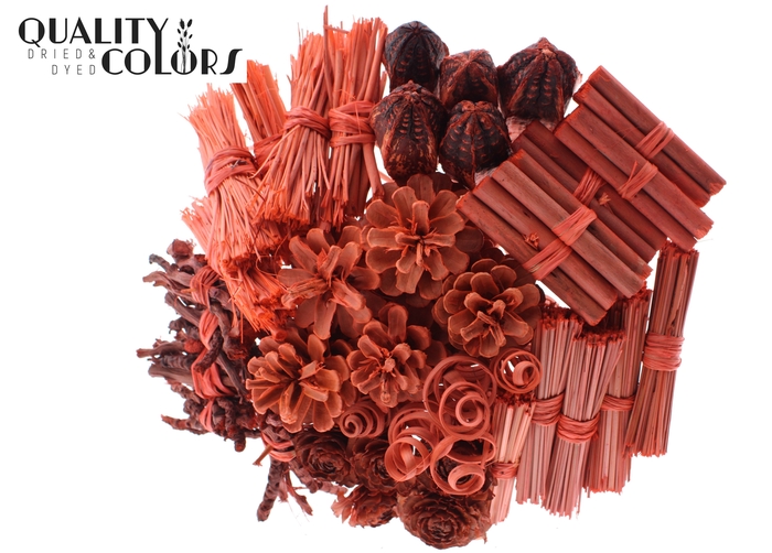 Bouquet Mix 40 stems Coral