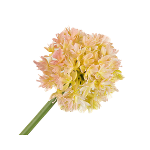Allium Pink Light FL440003LPK