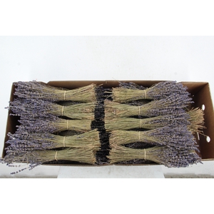 DF LAVENDER BS 80GR