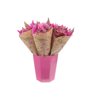 Droogbloemen bewerkt H%