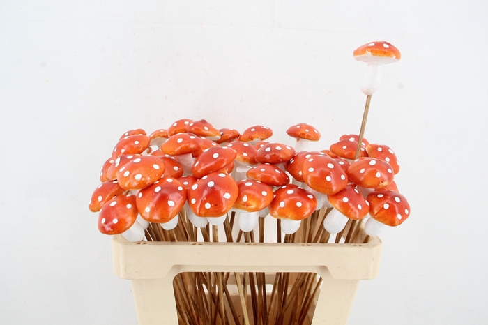 <h4>Stick Mushroom 6cm Orange/Whit</h4>