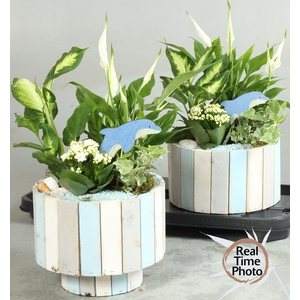 ARR KAMERPL