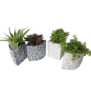 Arr.   Kamerplant Groen L%