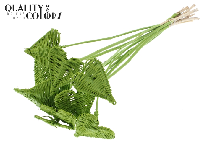 Lata Heart 8cm on stem Hat type Covered Light Green