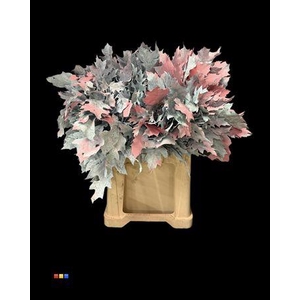 Eikeblad Bubblegum 60cm